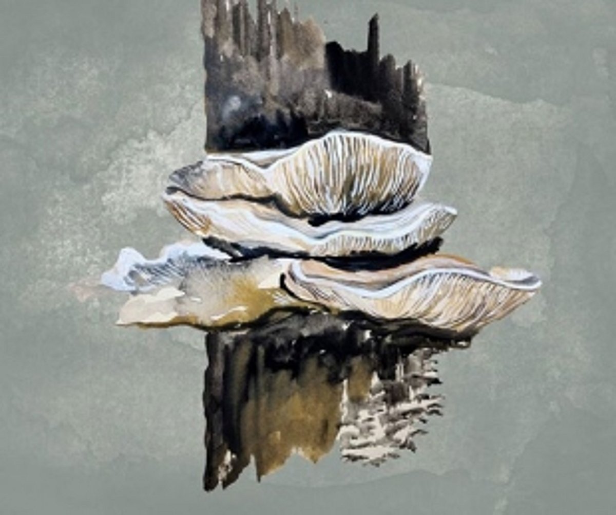 Hues of a Goa under protest: Pen to paper, brush to canvas, signs on a petition