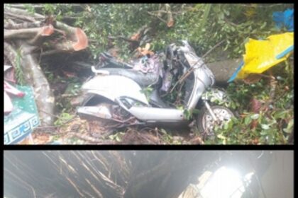Huge tree uproots at Kaswada-Talaulim, damages four houses, two bikes