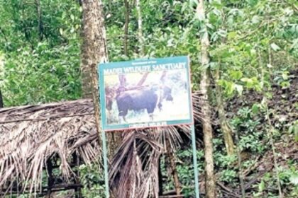 Human settlement: Inherent problem of Mhadei Wildlife Sanctuary