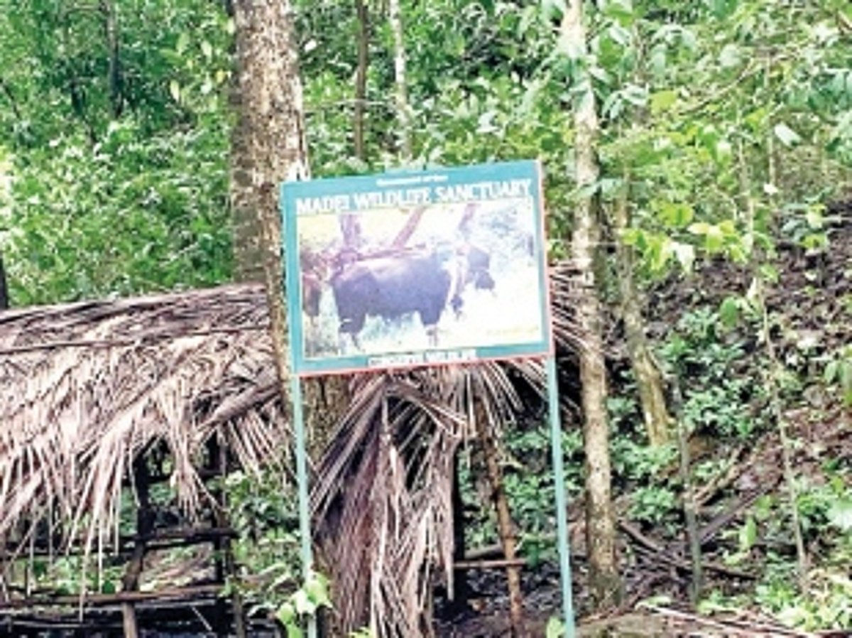 Human settlement: Inherent problem of Mhadei Wildlife Sanctuary
