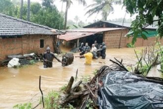 Humans flee with cattle, fodder as waters of Tillari flood Ibrampur
