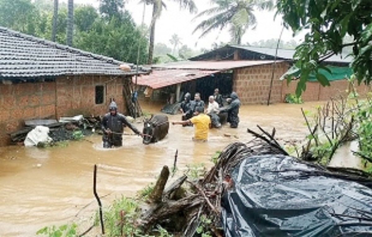 Humans flee with cattle, fodder as waters of Tillari flood Ibrampur
