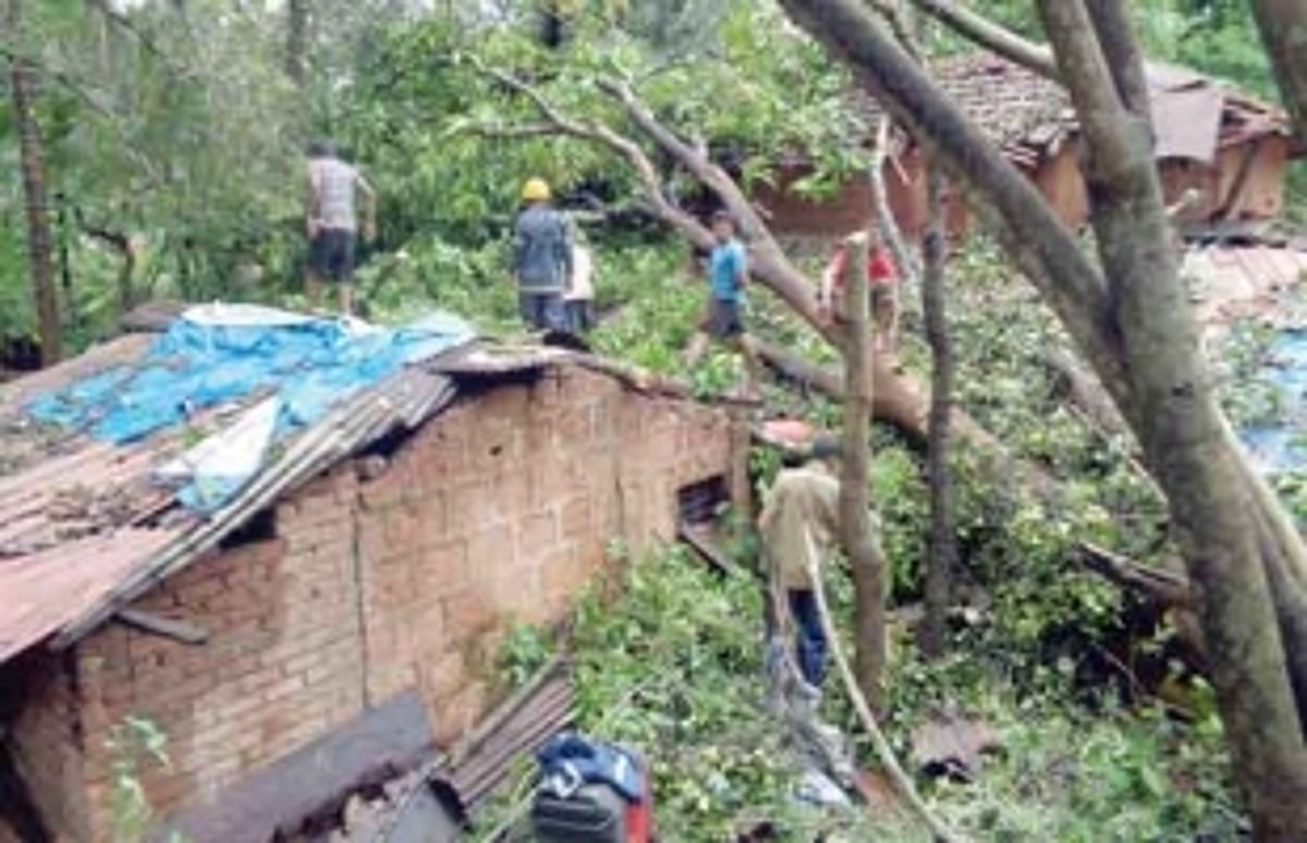 Hundreds of trees crash, power lines snap as rains lash Talule
