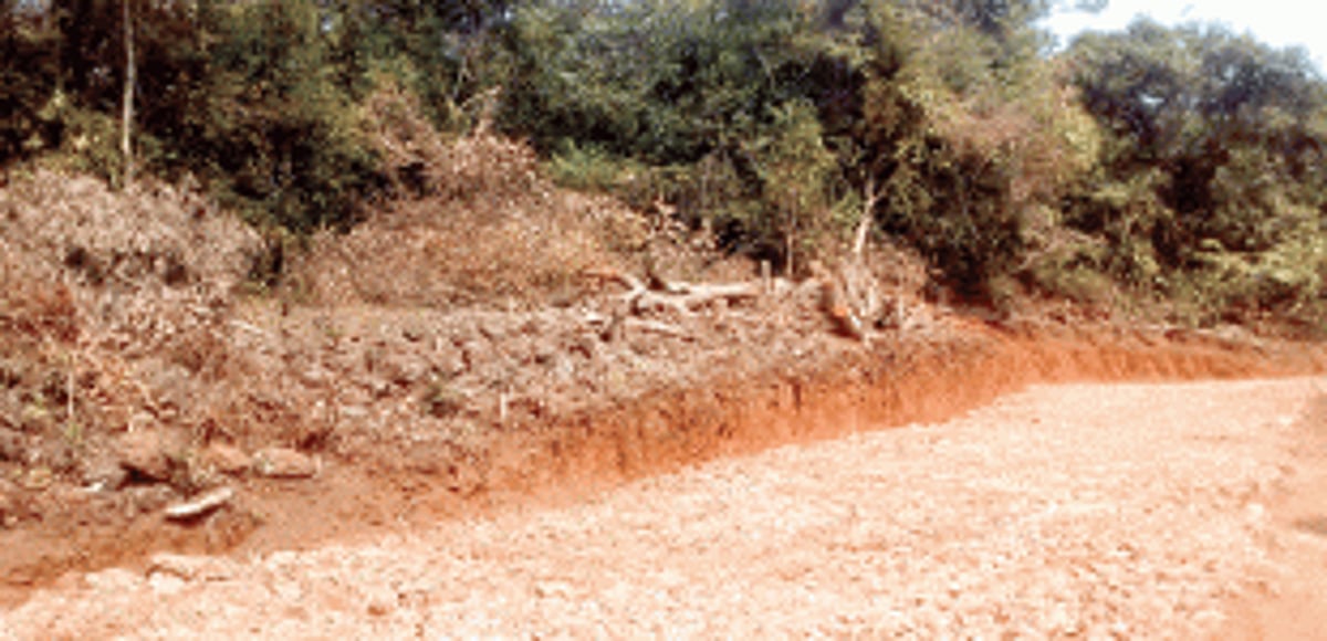 Hundreds of trees felled to build road at Arpora hill