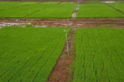 ICAR, KVK to jointly work on 5-year agriculture action plan