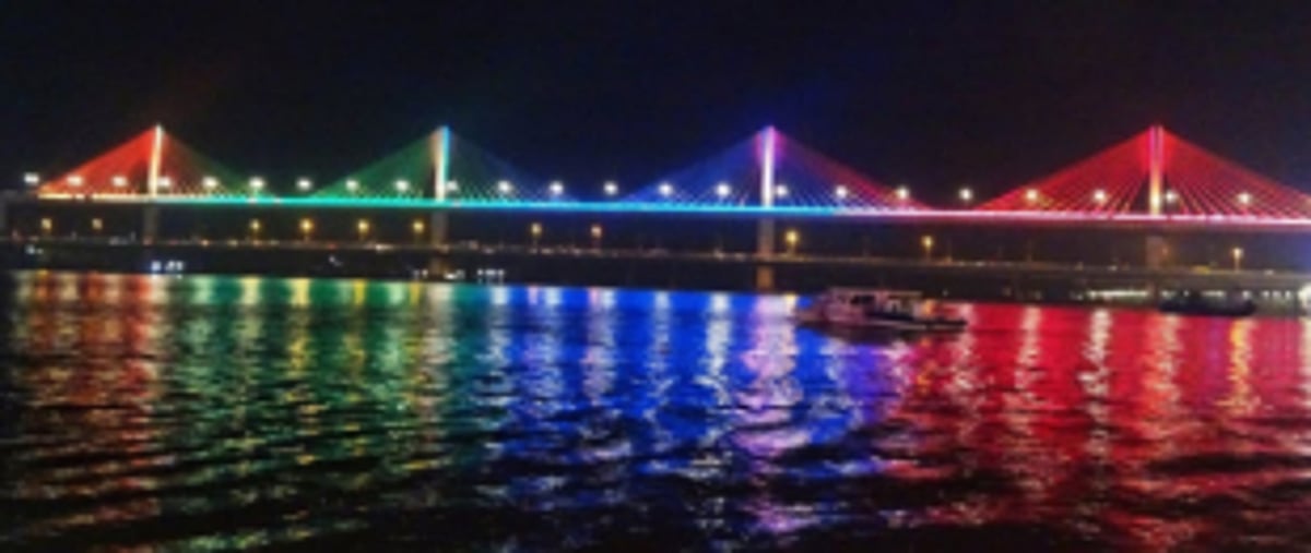 IFFI light contractor thrown off Mandovi Bridge rescued by tourists