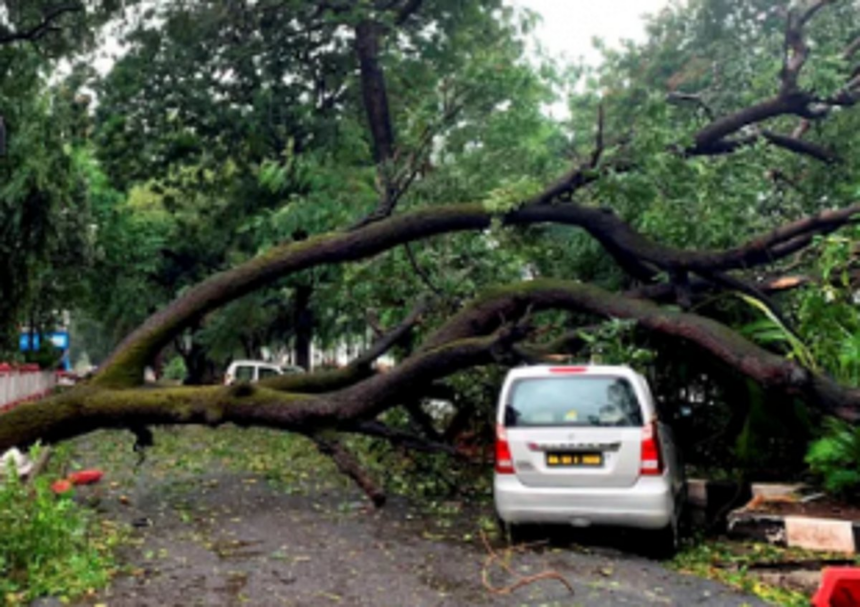 IMCT team holds on-the-spot assessment of cyclone damages