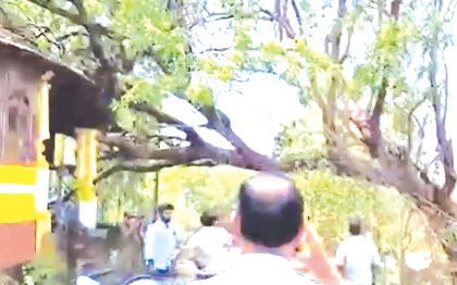 IMD Goa Forecasts Rain and Thunderstorms for March 29-30; Strong Winds Expected in North and South Goa
