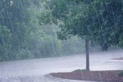 IMD Issues Orange Alert for Goa: Heavy Rainfall, Lightning, and Gusty Winds Expected from May 20