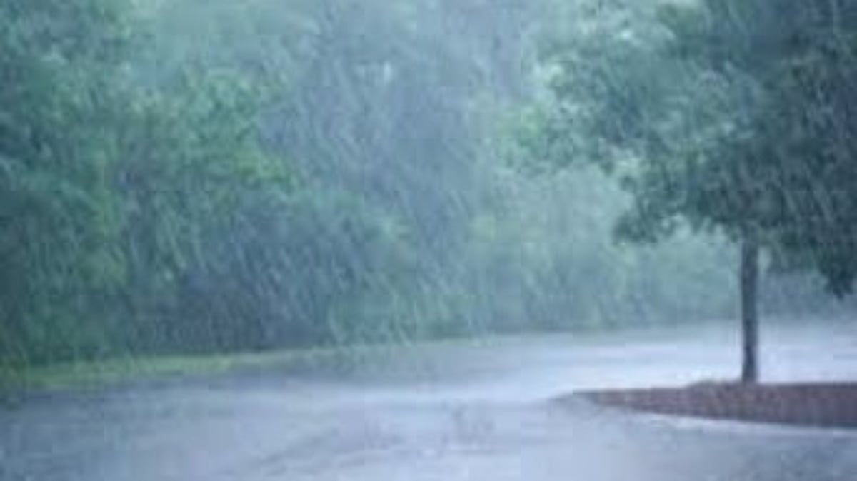 IMD Issues Yellow Alert for Goa, Thunderstorms Expected with Gusty Winds Until April 3