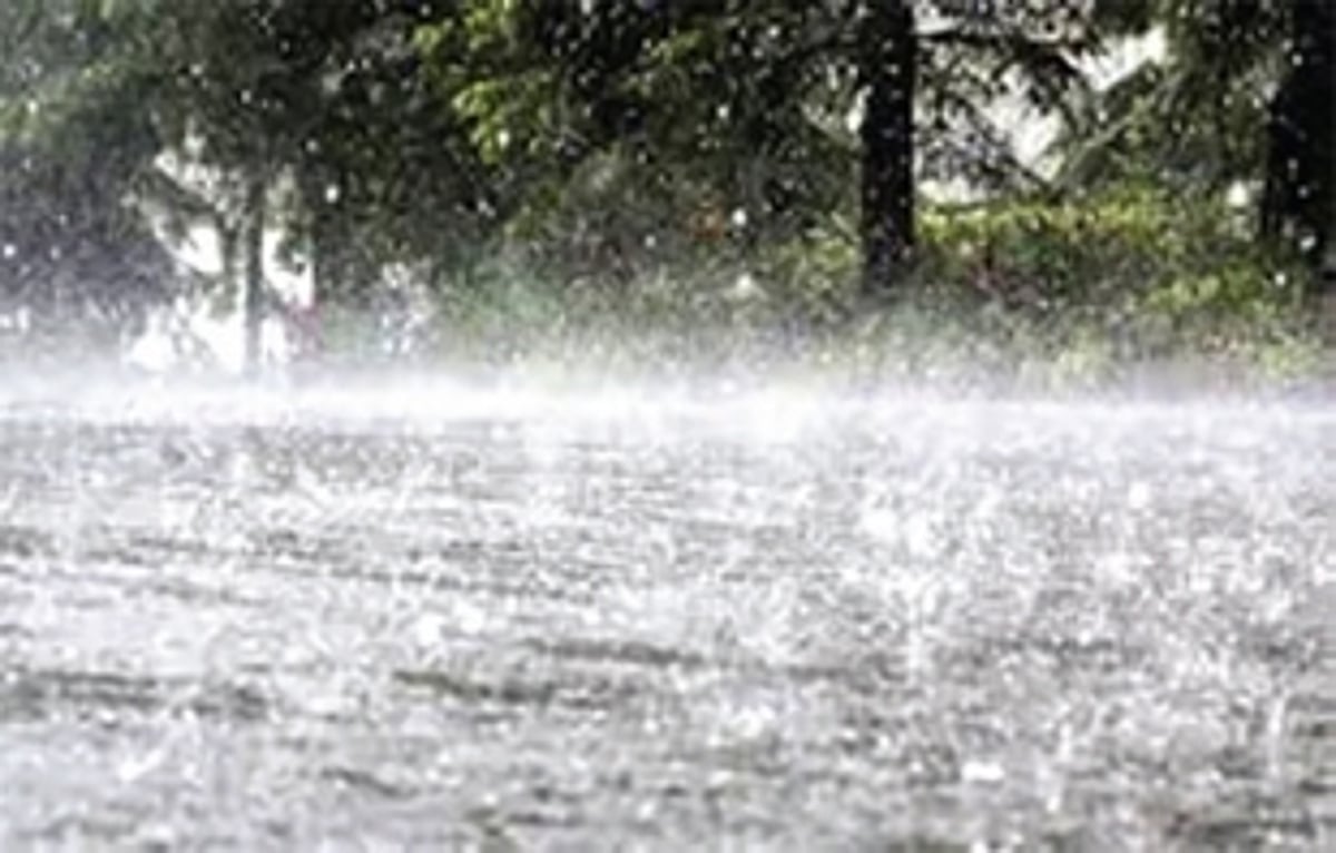 IMD forecasts thunderstorm   on May 12, 13