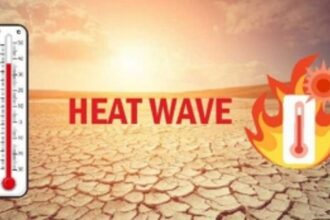 IMD issues red alert for severe heatwave conditions