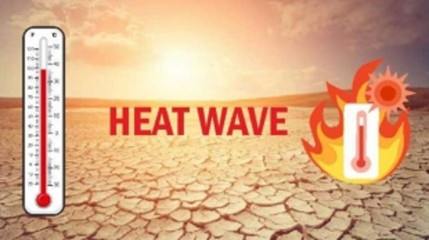 IMD issues red alert for severe heatwave conditions