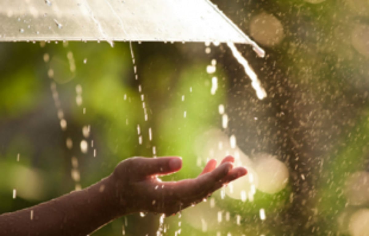 IMD predicts heavy showers for 5 days