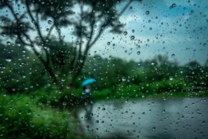IMD warns of  heavy rains, gusty winds till June 5