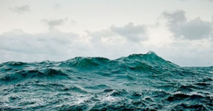 INCOIS has issued high swell surge warning, says IMD 1 INCOIS has issued high swell surge warning, says IMD