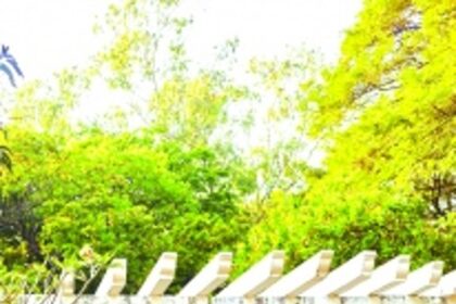 IPCC 2021 and biodiversity: Where have urban gardens gone?