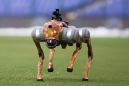 IPL Unveils High-Tech Robot Dog for 2025 Season, Invites Fans to Name the New 'Paw-some' Team Member