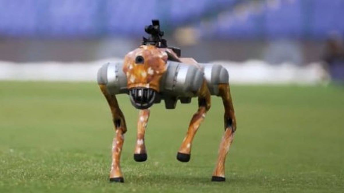 IPL Unveils High-Tech Robot Dog for 2025 Season, Invites Fans to Name the New 'Paw-some' Team Member