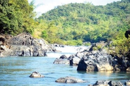 IS THE TONE DOWN?: Goa still ‘examining’ K’taka’s ‘vague’ reply to Goa’s show cause notice on violation of Wild Life Act on Mhadei