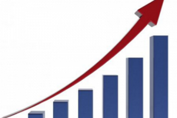 IT ROSE, IT FELL AND  IS RISING AGAIN