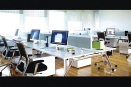 IT sector: In incubation for too long