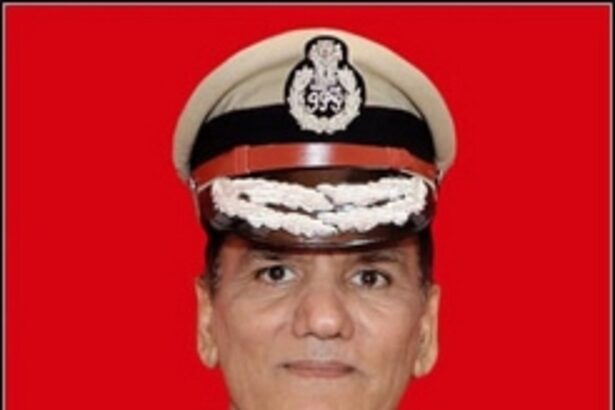 If my men are at fault, I will not spare them: IGP to Herald