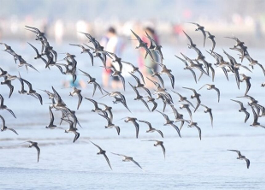 If you had three wishes for Goa this Diwali, what would they be?