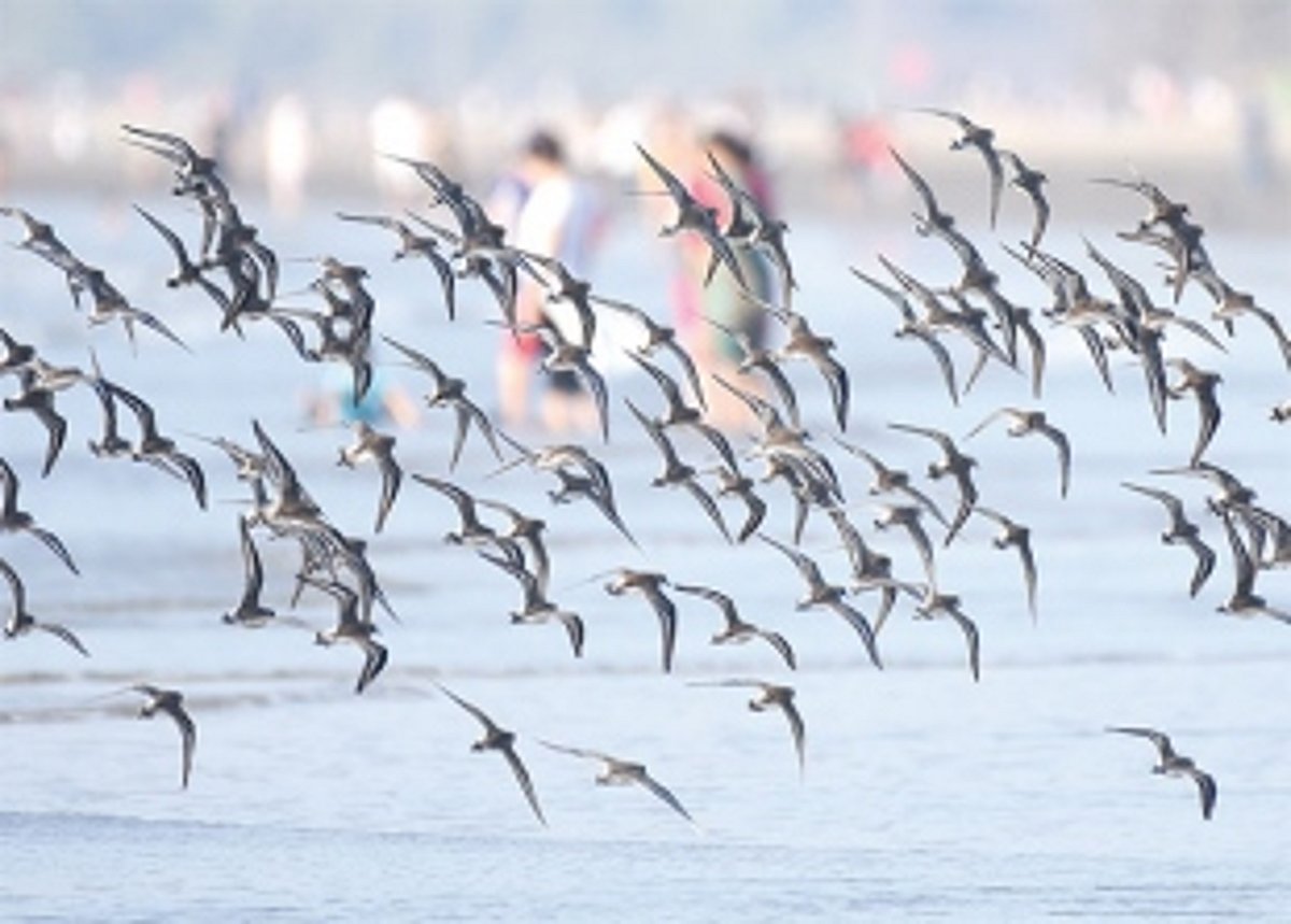 If you had three wishes for Goa this Diwali, what would they be?