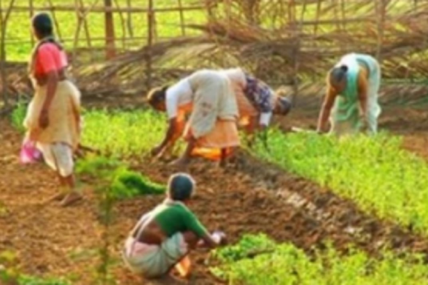 “Illegal” construction under the shadow of IIT enrage Uguem farmers