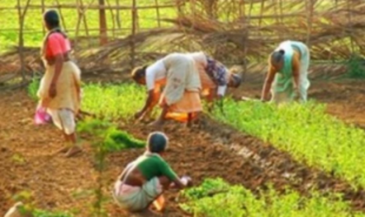 “Illegal” construction under the shadow of IIT enrage Uguem farmers