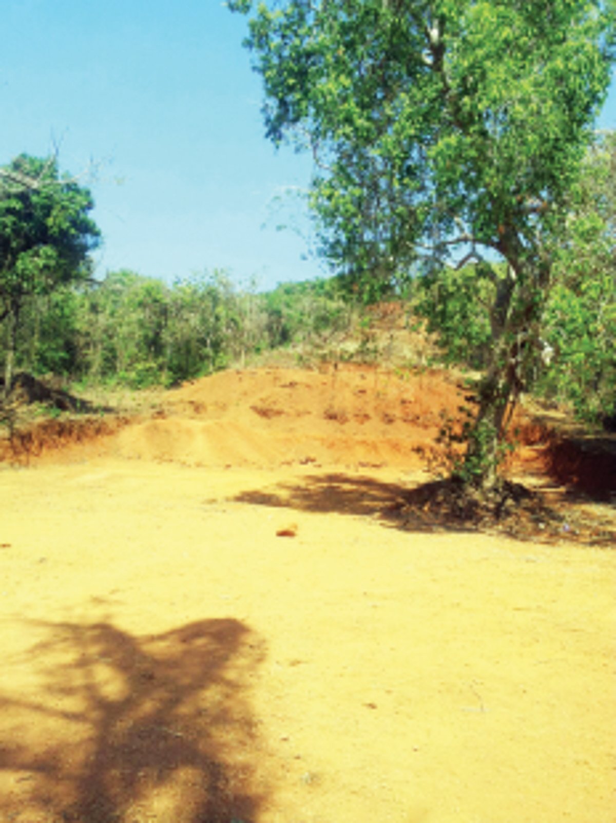 Illegal hill-cutting in Calangute raises suspicion