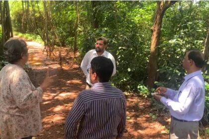 Illegal mud road constructed by destroying sand dunes in Sernabatim, inspected