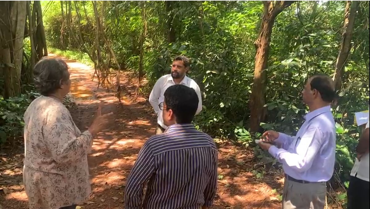 Illegal mud road constructed by destroying sand dunes in Sernabatim, inspected