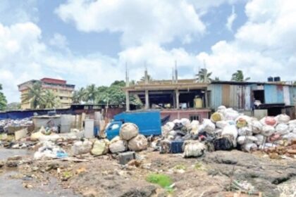 Illegal scrapyards continue to flourish at Colvale