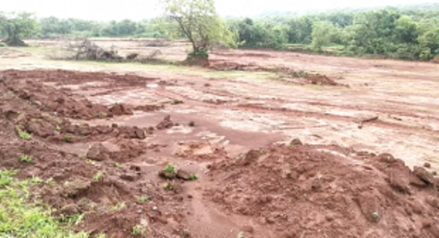 Illegal tree and hill cutting reported at Dhargal