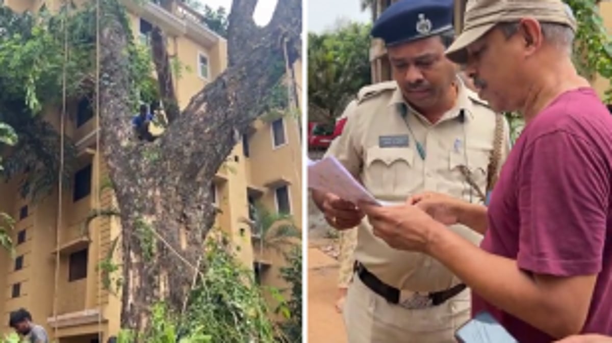 Illegal tree cutting at Taleigao sparks tension amongst residents