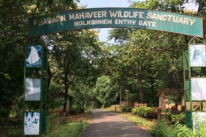 Importance of Bhagwan Mahaveer Wildlife Sanctuary