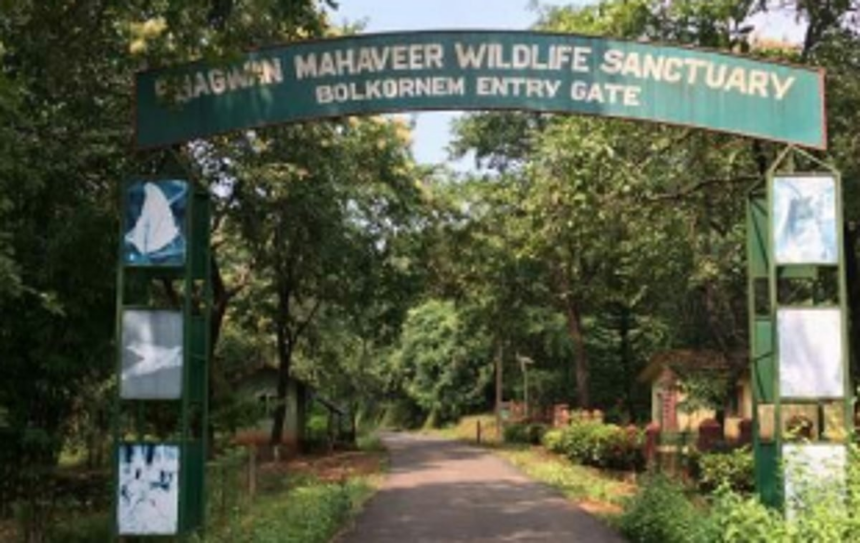 Importance of Bhagwan Mahaveer Wildlife Sanctuary