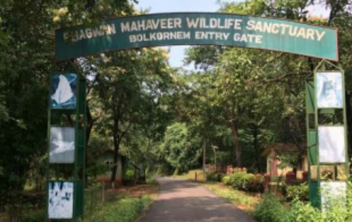 Importance of Bhagwan Mahaveer Wildlife Sanctuary