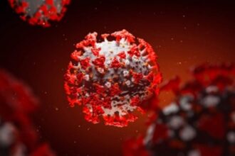 Impressive 453 one-day recoveries on Sunday