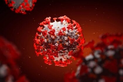 Impressive 453 one-day recoveries on Sunday