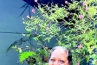 In Benaulim, Estela Correia’s kitchen is the  go-to for bebinca and biryani