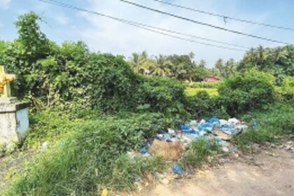 In Colva, fish waste, carcasses dumped on procession lane behind fish market