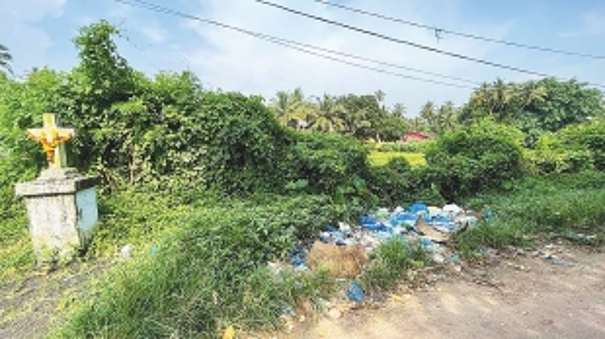 In Colva, fish waste, carcasses dumped on procession lane behind fish market