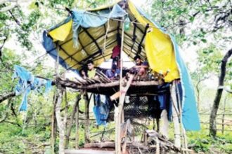 In Morpila, everyone’s busy trying to catch the network