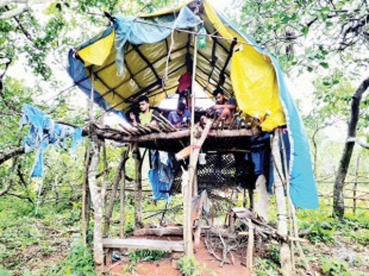 In Morpila, everyone’s busy trying to catch the network