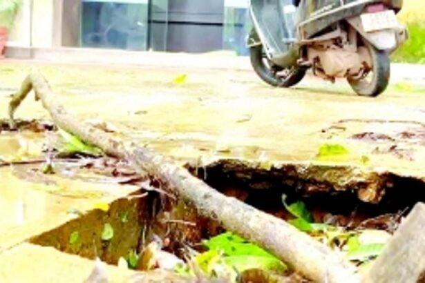 In Quepem, before you pay your commercial taxes, you may fall into a pit