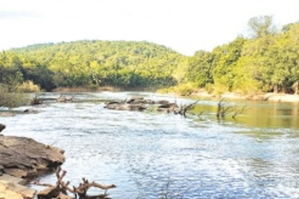 In a political churning, the Mhadei waters are mudied again