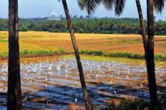 In bid to preserve the spirit of Goa’s ancestral lands, Comunidade Awareness Fellowship to be held at Margao